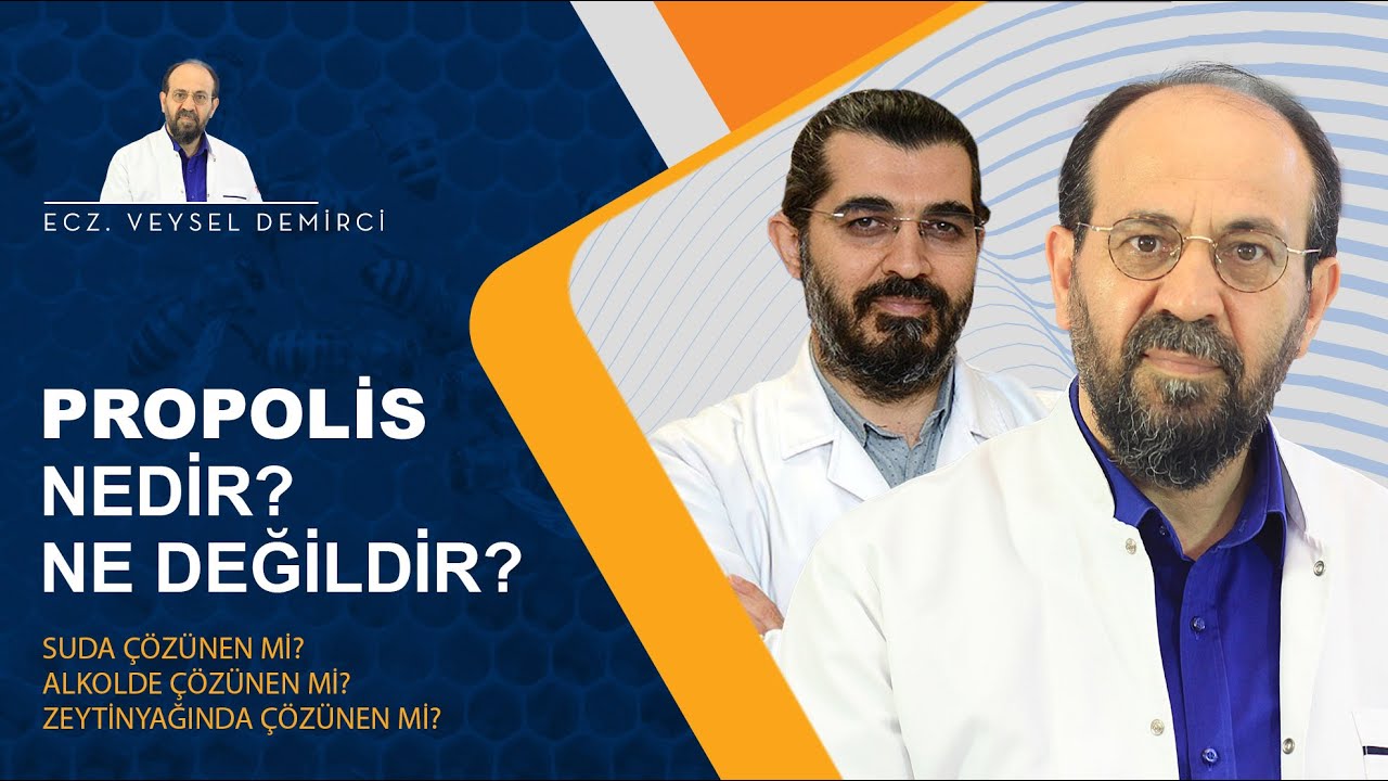 Propolis Nedir? Ne Değildir?
