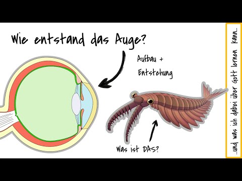 Wie entstand das