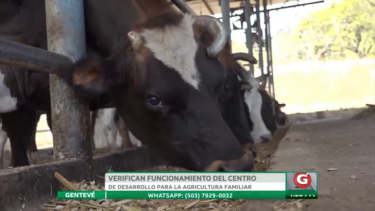 VERIFICAN FUNCIONAMIENTO DEL CENTRO DE DESARROLLO PARA LA AGRICULTURA FAMILIAR newspaper mockup