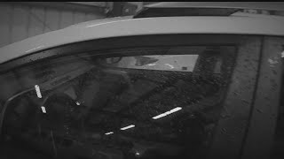 7 guns stolen from Lee deputy's car
