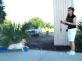 Dog Training What is Heel?? Dog Training What is Heel??