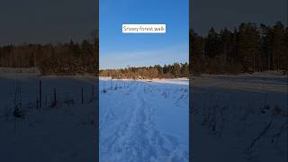 Snowy Forest walk #sweden #winter