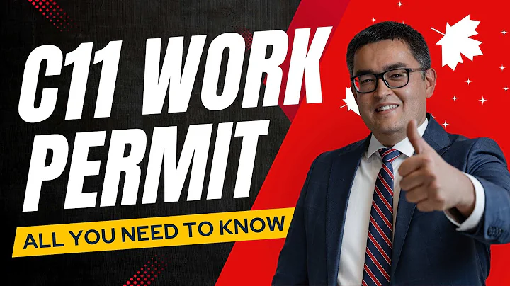C11 Work Permit Basics: Watch This Before Diving Into 2025 Changes