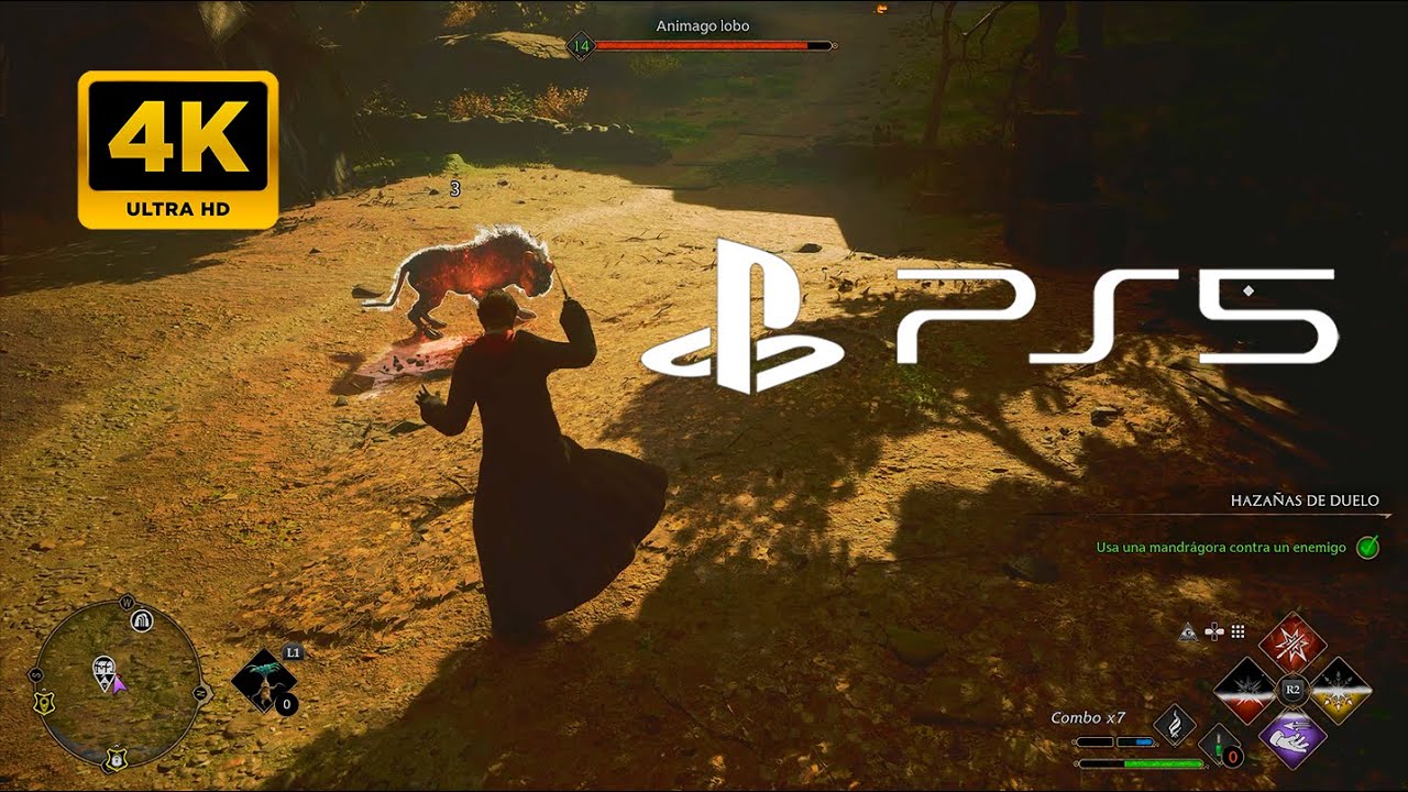 Peleando Con Animago Lobo (PS5) Hogwarts Legacy [4K] [60FPS] [HDR ...