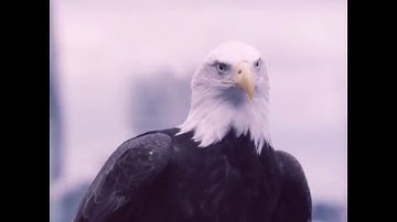 UTAR Computing Technology Assignment 2016(Mash-up Music Video) - You Can