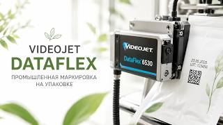 Промышленная маркировка на упаковке: обзор серии Videojet DataFlex