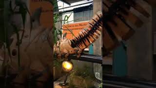 Amazing Location Google Earth View