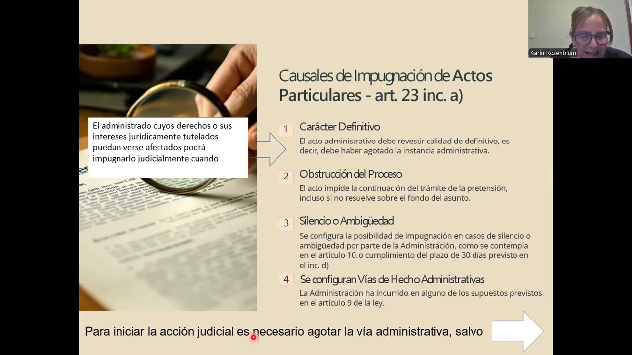 Vías de Impugnación de Actos Administrativos (Ley de Bases)