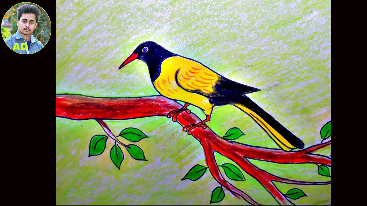 How to draw yellow bird scenery step by step Yellow Bird Drawing