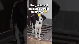 Doggi bhai🥺🤣 #youtubeshorts #funny #india #pakistan #border #memes #cute #cutedog