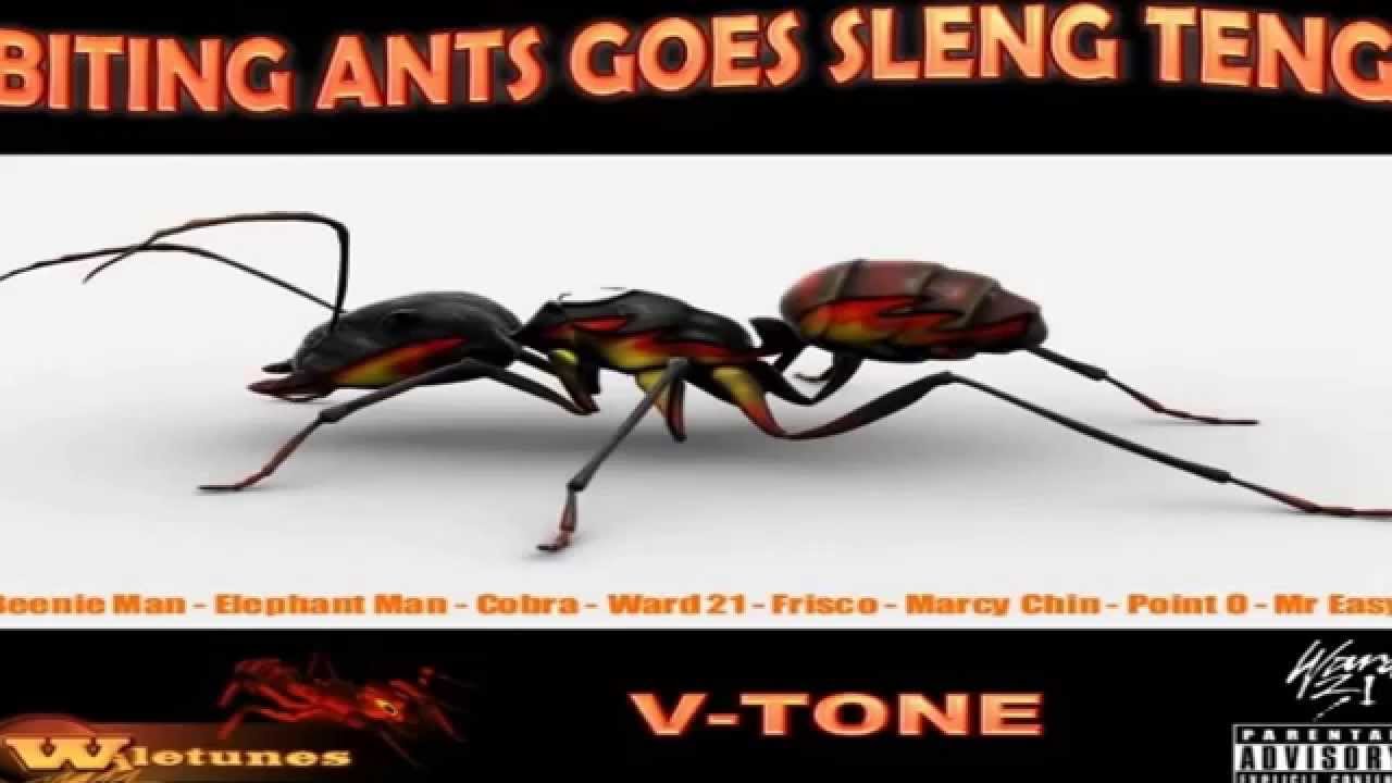 Biting Ants Riddim Goes Sleng Teng Remix - YouTube
