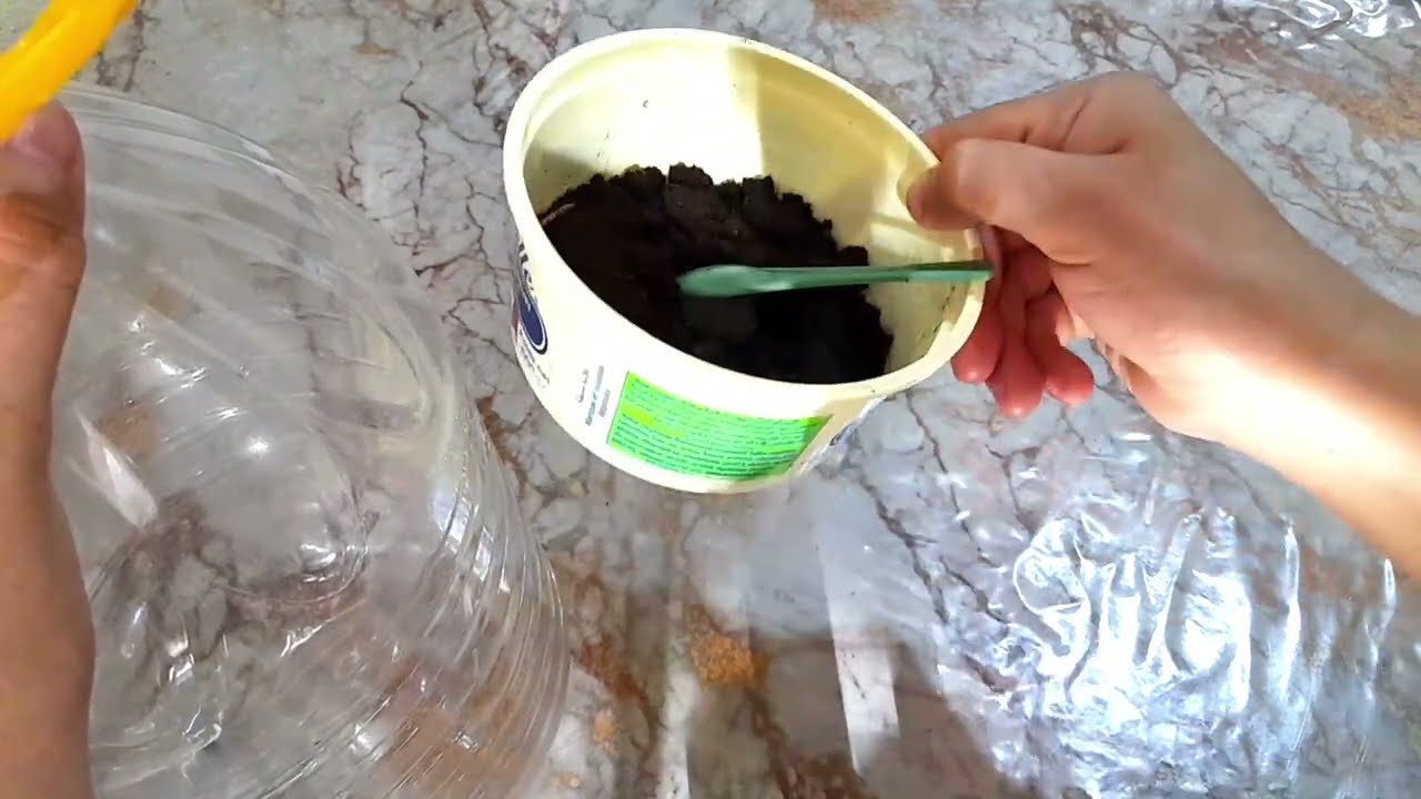 عندك تزيدي ترميها راهي كنز في بيتك