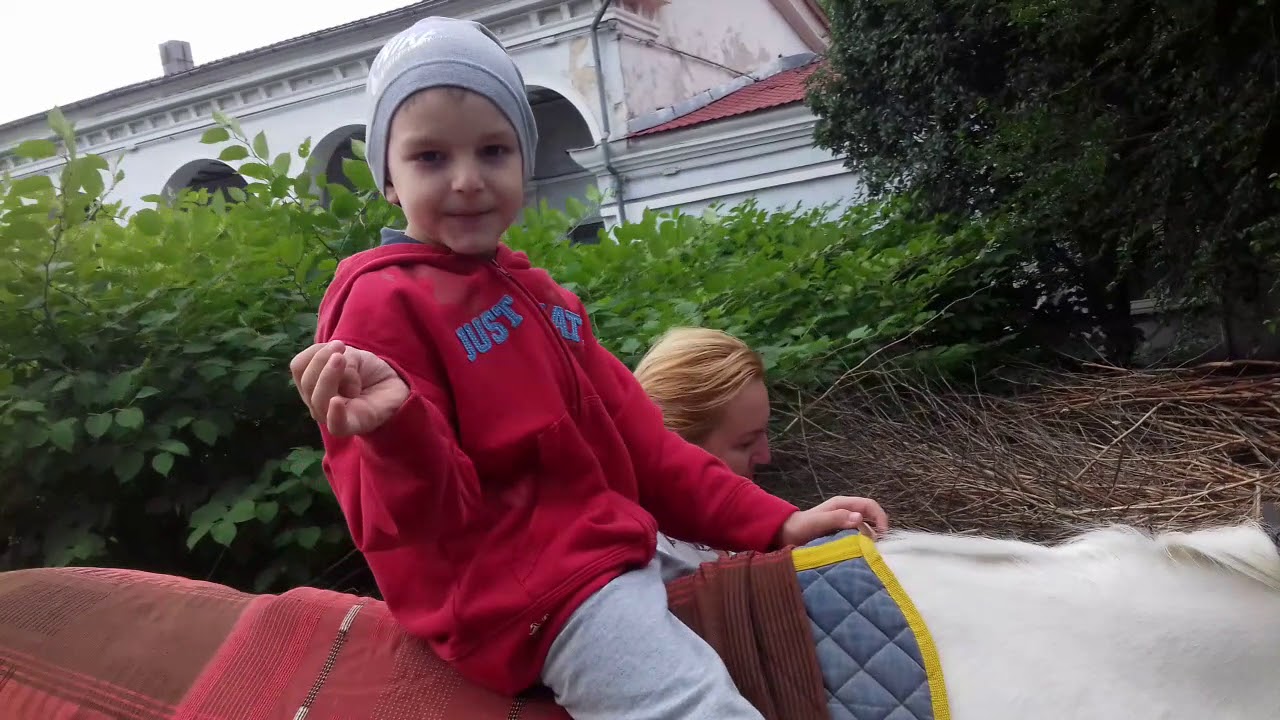 Иппотерапия для детей с ДЦП - YouTube