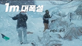 말도 안되는 1m 대폭설 캠핑. 장박 중 텐트가 흔적도 없이 파묻혔다. 삽질캠핑. 재난캠핑. 고립캠핑. 폭설캠핑. 캠핑 브이로그.