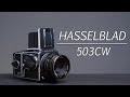 HASSELBLAD 503CW | THE LAST ICONIC HASSELBLAD | Medium Format Camera