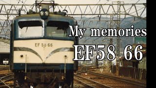 EF58 EF5866 竜華機関区 ゴハチ 鉄道写真 紀勢本線