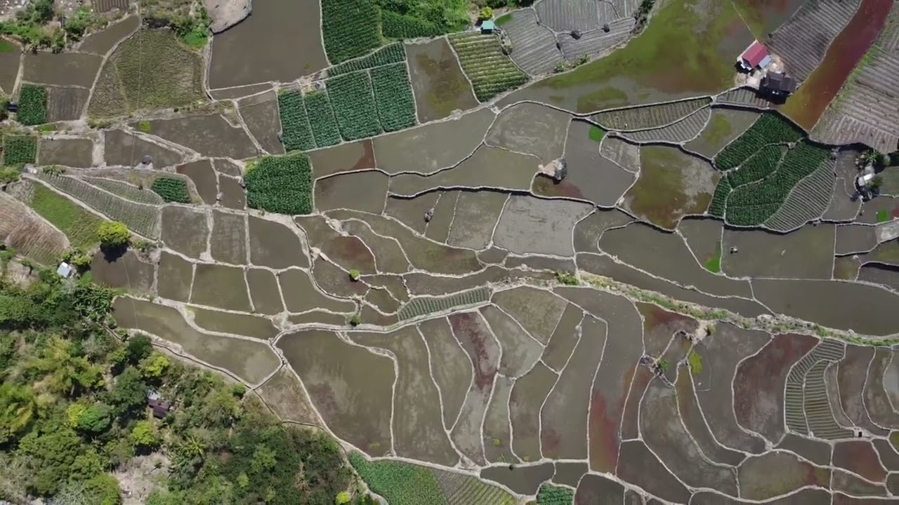 Beauty of Pasdong, Atok, Benguet