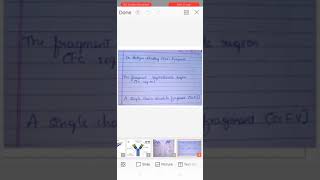 antibody engineering