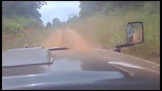 Two 60 series cruisin&#39; at high speed through the jungle of Gabon.