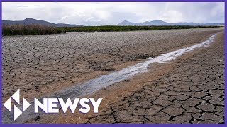 About 6 Million Californians Ordered To Cut Water Usage Amid Drought!