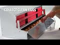 The Best Way To Keep Your Eggs Clean! Using a HenGear Rollout Nest Box - HenGear.com
