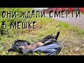 Щенков выбросили в пакете на погибель / продолжение истории спасения / help save homeless puppies