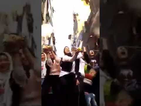 مينا البصل