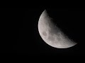 코동+니콘d750 확대촬영어댑터 테스트
