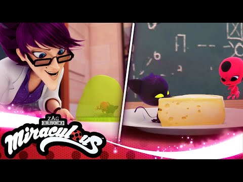 ميراكولوس كوامي باستر قصص الفتاة الدعسوقة و القط الأسود