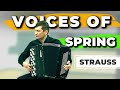 Иоганн Штраус - Весенние голоса | Иван Чурилов (баян) | Johann Strauss II - Voices of Spring (Waltz)