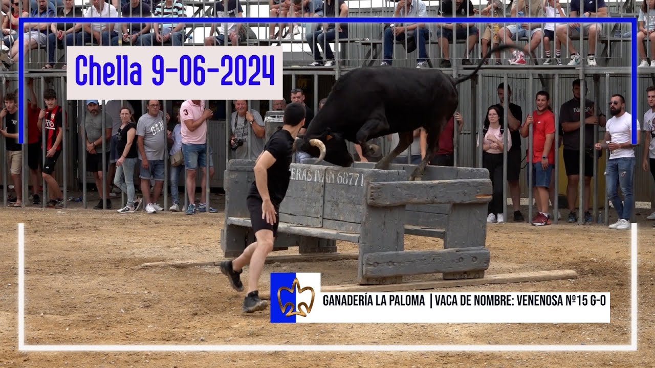 Chella 09 06 2024 Especial Ganadería La Paloma