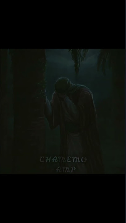 Zahra?I'am Ali😭 #4k #alightmotionedit #sad #hzali #zahra :(
