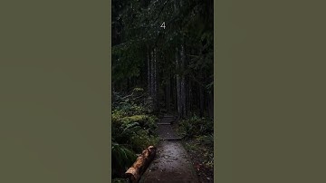 Which road would you choose to walk alone ✨🚶#relaxing #vibes #aesthetic #peace #nature #asmr