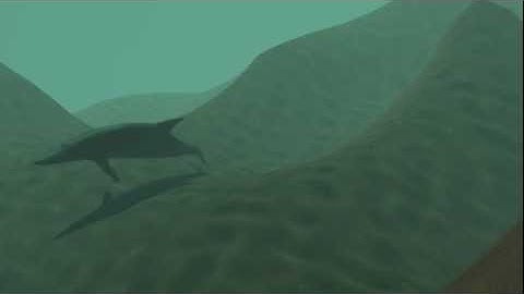 3D Animation Dolphin