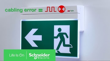 How to Manage a Bus and Mains Cabling Reversal | Schneider Electric Support