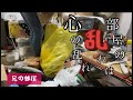 兄が精神科へ急遽入院　兄の部屋のお片付けパート1