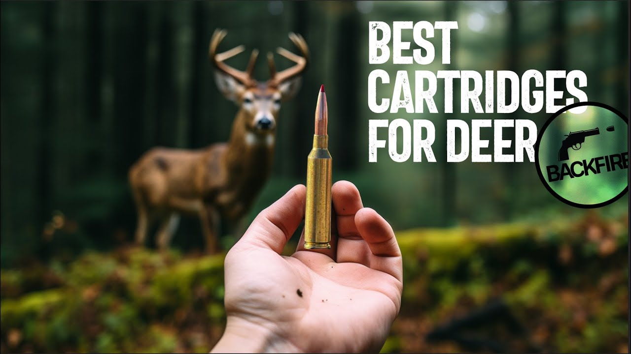 Best Cartridges and Calibers for Deer Hunting YouTube