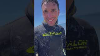 Have You Tried Kina?