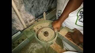 Cara Memperbaiki Mesin Pakan Ayam Semi Otomatis Jenis Chain Feeder