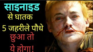 Cyanide, से खतरनाक दुनिया के 5 सबसे जहरीले पेड़-पौधे, जिन्हें छूने से होगी मौत | Aayurvedik Jahar,