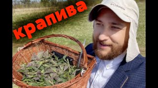 КРАПИВА - самый вкусный майский салат из молодой крапивы