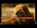 Why king of the forest is Lion ??