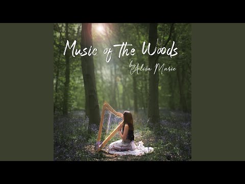 Music Video Preview