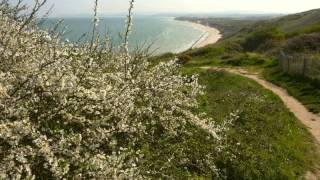 BR Wissant (France). La terre des  deux Caps, le 15 avril 2012