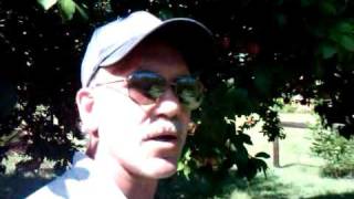 Bug Doctor Minute The Pest Magnet In Your Yard