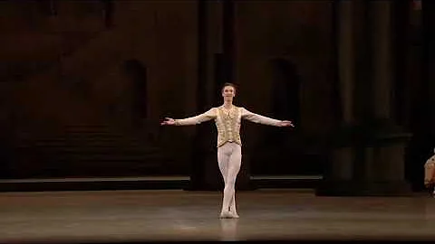 Vadim Muntagirov  Desire Variation Act 3