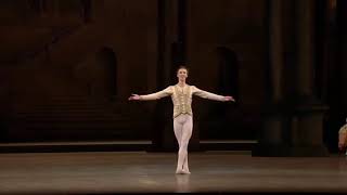 Vadim Muntagirov Désiré Variation Act 3