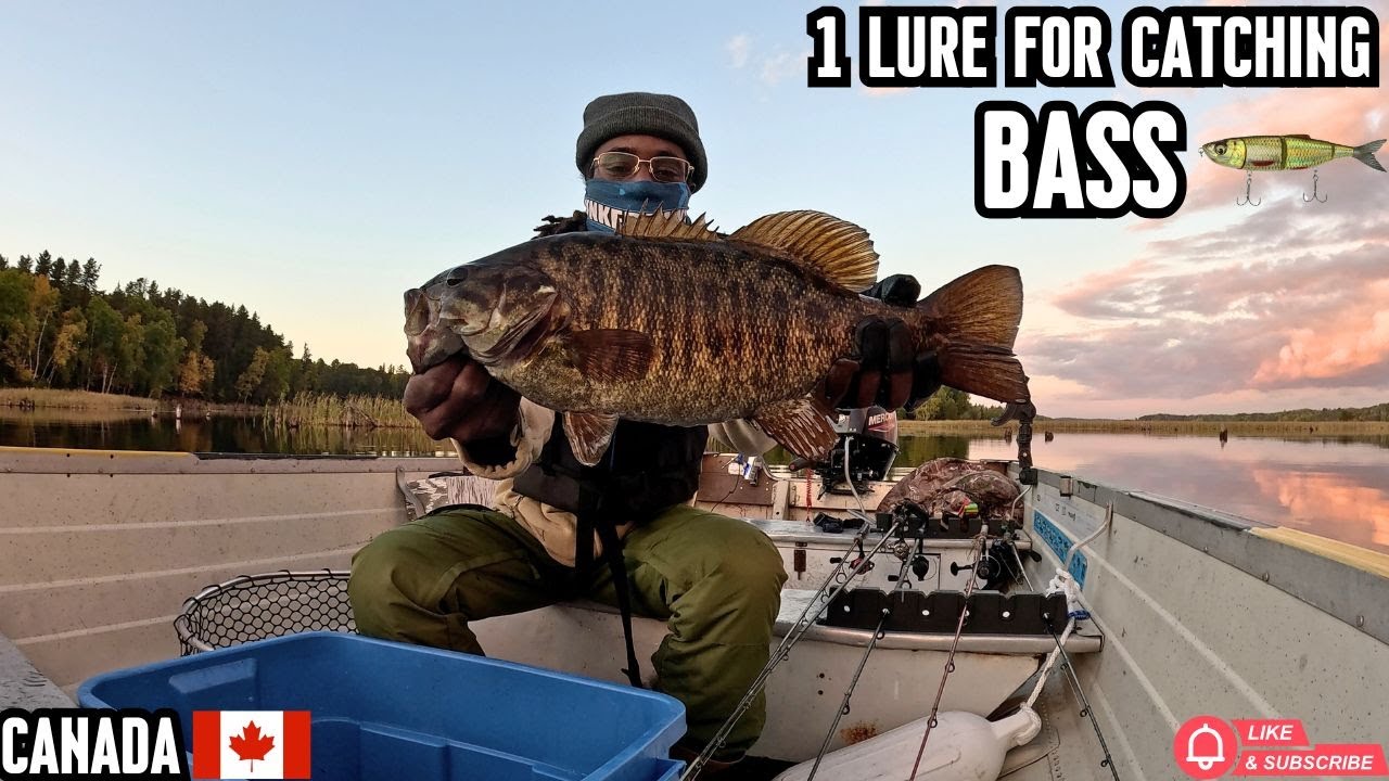 Catching GIANT Smallmouth Bass 1 Lure for Fall Fishing