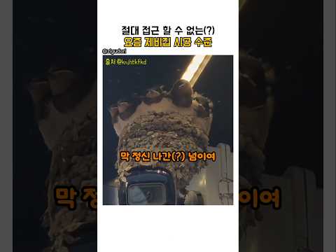요즘 제비집 시공 수준 ㄷㄷㄷ(반전주의) #제비 #제비집 #아파트 #집 #home #웃긴 #유머 #동물영상 #cctv #반전 thumbnail