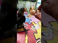 menjinakkan burung nuri tanau